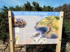 dkg_dscf0934