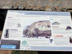 dkg_dscf0935