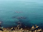 jfe_dsc_0137