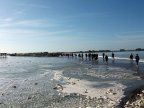 mkg_20190902_102233