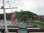 img_0461