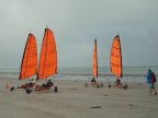 dsci0046