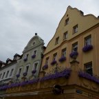 dsc0209