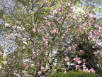 photo-2023-04-30-16-51-13